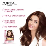 Loreal Paris Excellence Creme Hair Color Brown
